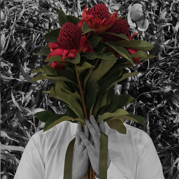 Christian Thompson AO, Locus of Vision, 2017