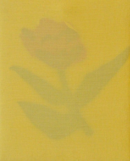 Ruith Cummins, Tulip (for Kate), 2022