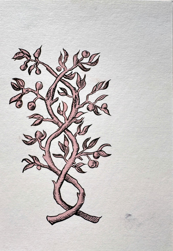 Sharon Goodwin, East of the world, 2024