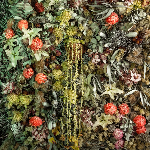 Christian Thompson, In the gathering darkness, agus é ag dorchú go tiubh; le faobhar na hoíche, 2023