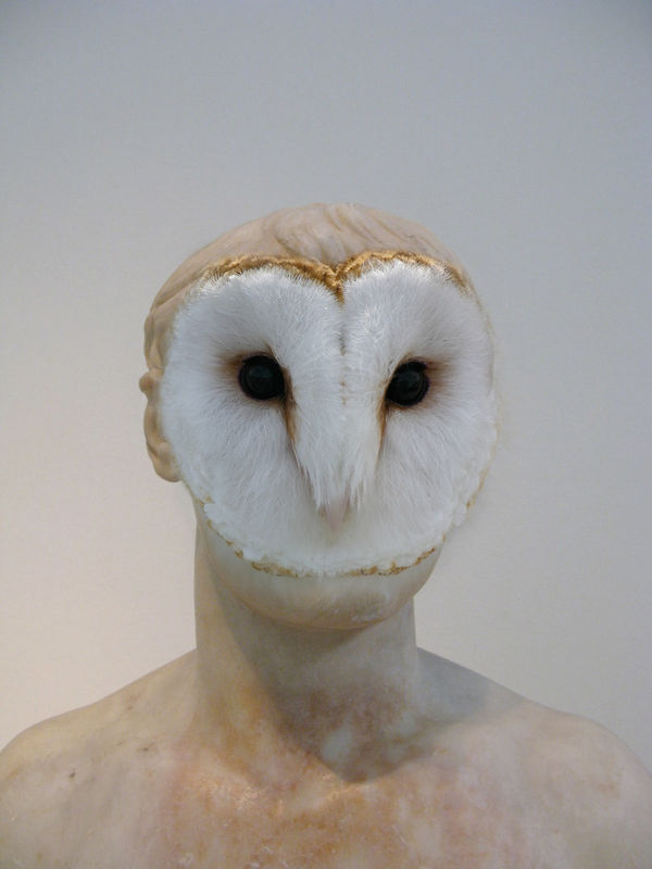 Veronica Kent, Owl, 2008