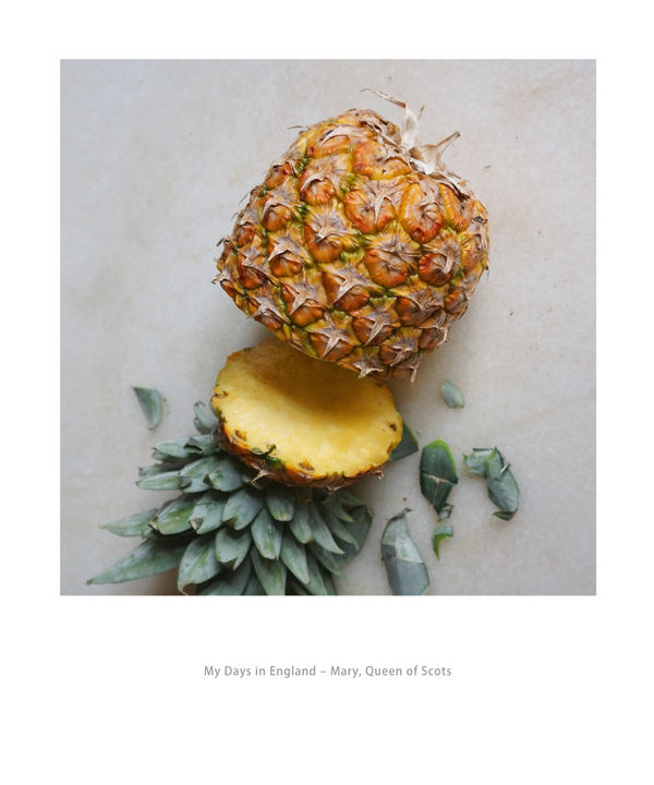 Klaus vom Bruch, My Days in England - Mary, Queen of Scots, 2019-2023