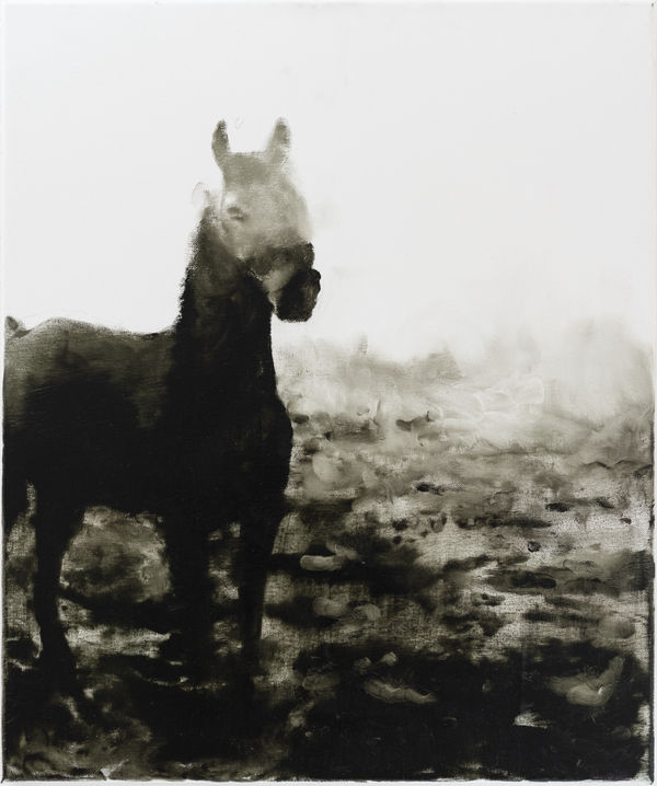 Florian Süssmayr, Ohne Titel, 2023/2024