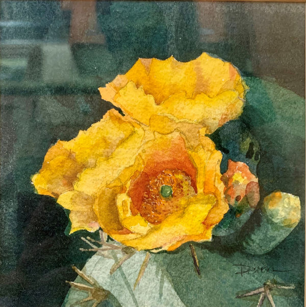 Devon Meyer, Yellow Blossoms