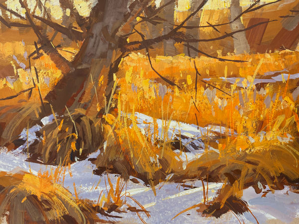 Judd Mercer, Golden Field