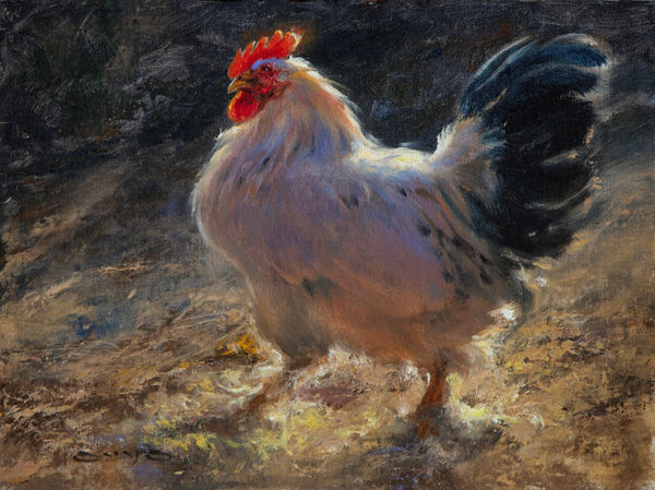 William Suys, Yard Dance