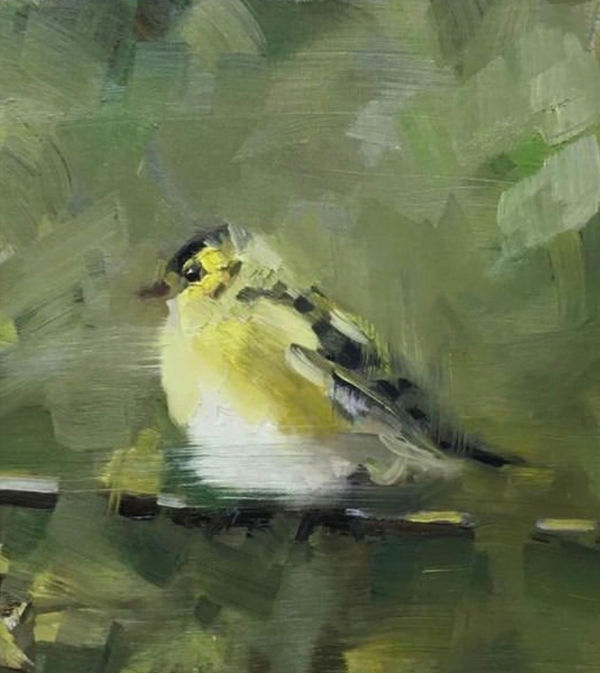 Vanya Allison, Yellow Bird