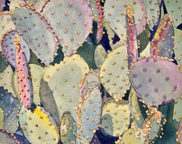 Devon Meyer Youth, PrPer