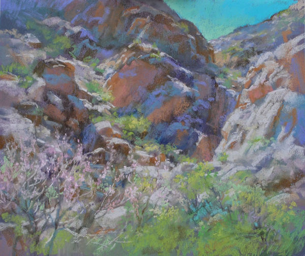 Christine Debrosky, White Tank Spring