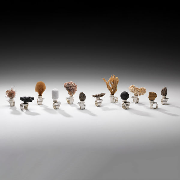 Kyoko Hashimoto and Guy Keulemans, Bioregional Rings (Sydney Basin), 2021