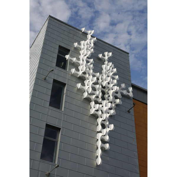 Simeon Nelson, Cactal, 2007