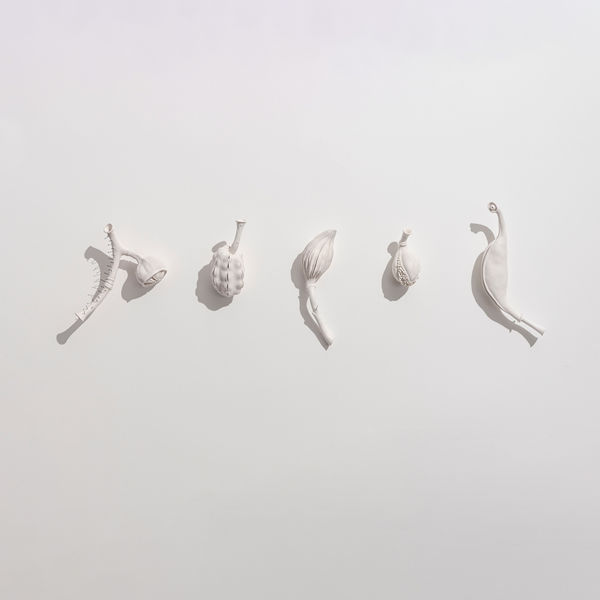 Sarah Rayner Distance of a Whisper … Group I, 2023 hand carved porcelain and entomology pins 32 x 106 x 8.5 cm