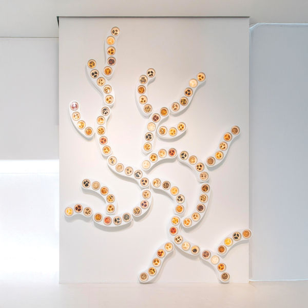 Rhoda Ting & Mikkel Bojesen, Rhizome, 2023