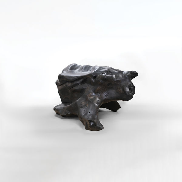 Olive Gill-Hille Untitled Chair, 2023 eucalyptus 84 x 150 x 110 cm