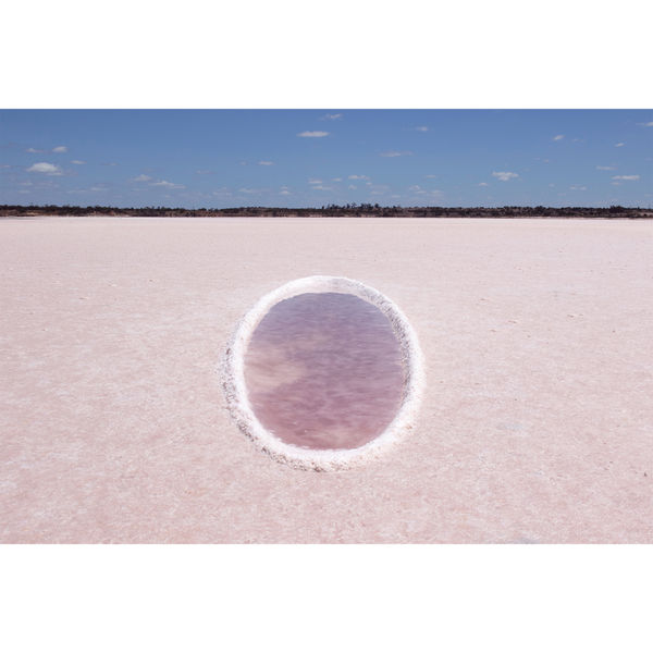 Rhoda Ting & Mikkel Bojesen, Quantum Field, 2019