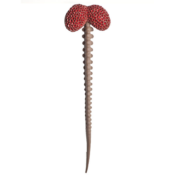 Angela Valamanesh The Mortician’s Garden, Shiver/Quiver, 2, 2020 ceramic 120 x 32 x 11 cm