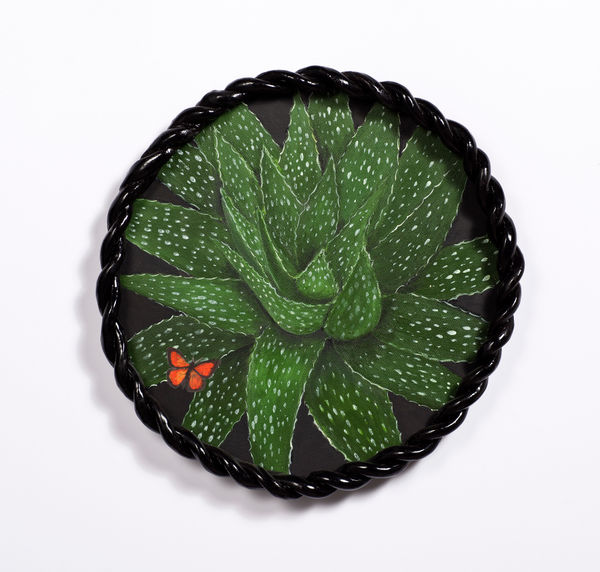 Angela Valamanesh Birds and bees 12, (Spotted Aloe with Butterfly), 2024 acrylic on canvas on plywood board with ceramic frame Ø 40 x 4 cm