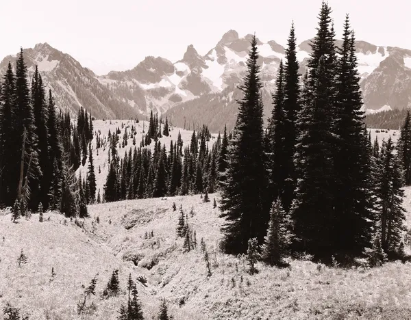 Rick Bungolf, Cowlitz Chimneys, Mt. Rainier, NP, 1977