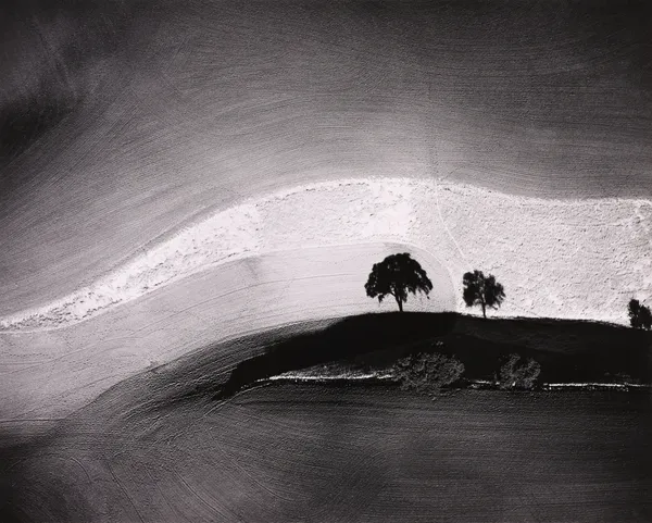 William Garnett, Two Trees on Hill with Shadows, Paso Robles, CA, 1974