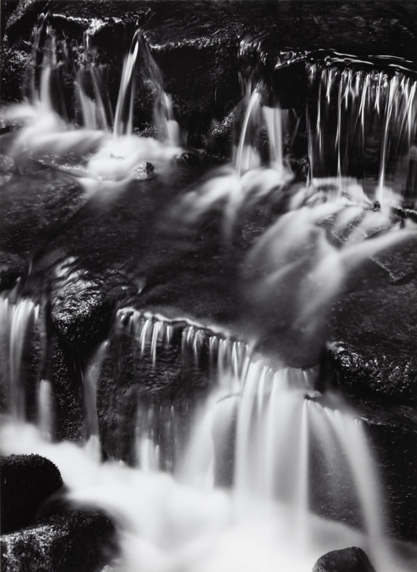 Ansel Adams, Fern Spring, Yosemite, 1961
