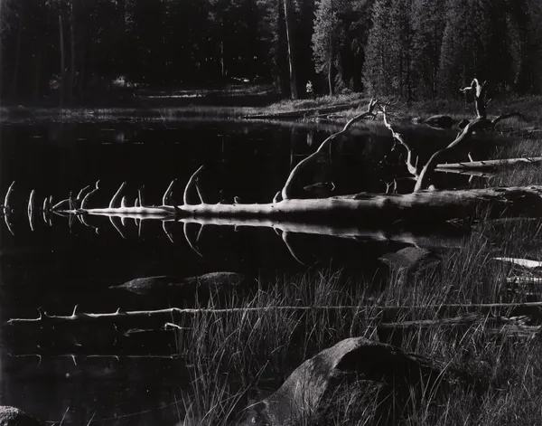 Donald Ross, Pool, High Sierra, 1955, 1955