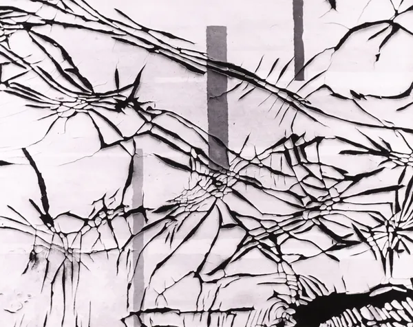 Robert K. Byers, Old Floor Covering, Arizona, 1974