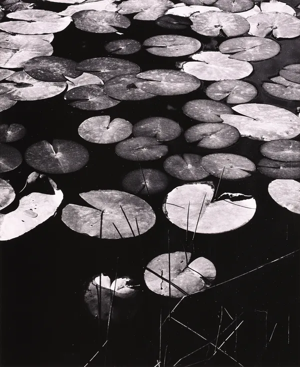 Robert K. Byers, Wawona at Yosemite, 1977