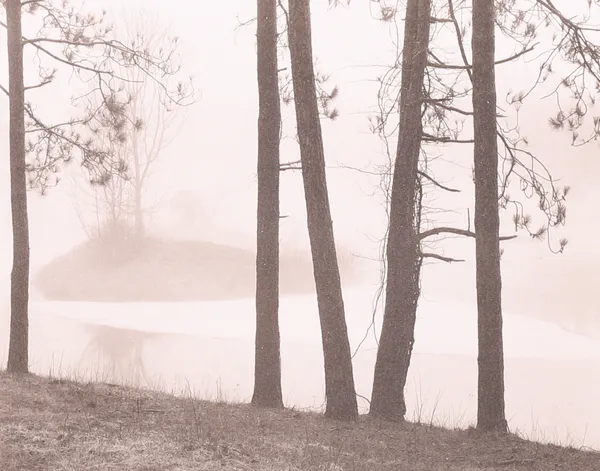 Tom Millea, Redding, Connecticut, 1969