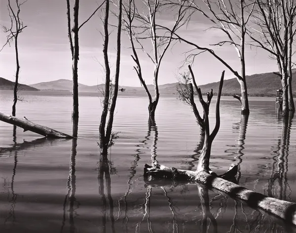 Brett Weston, Lake Patzcuaro, Mexico, 1977