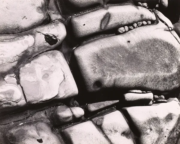 Brett Weston, Rocks, Point Lobos, 1950