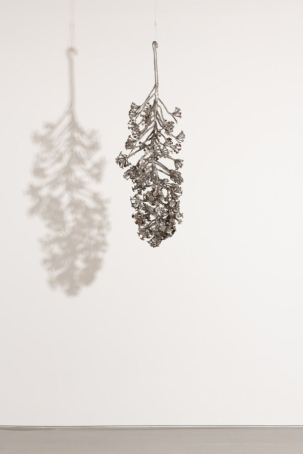 Carolyn Ottmers, Splice #17 (CO10KSOR), 2010