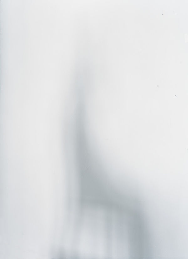 Jason Lazarus Untitled, 2008 archival pigment print 30 × 36 inches