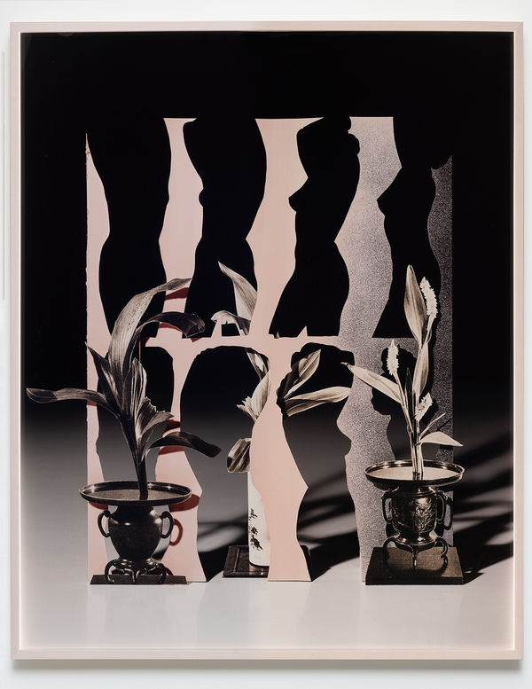 Matt Lipps, Turning, 2016