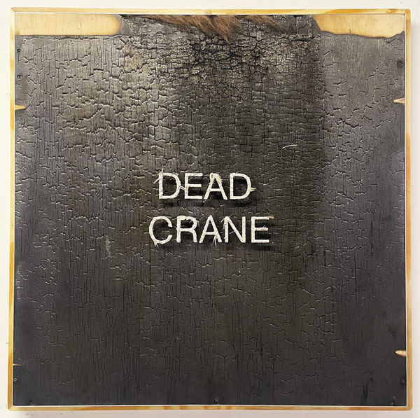 Juan Angel Chavez Gift Detail, 2024 Burnt plywood, bison fur, ash, mourning dove feather 36 x 36 x 6 inches