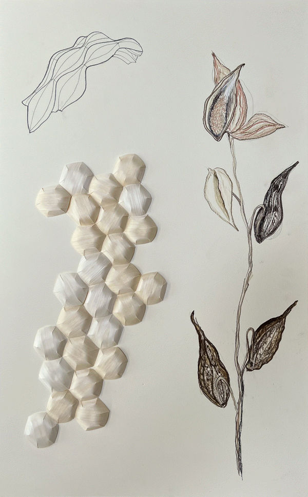 Jeanne Gang Follicle, 2024 Chalk, charcoal, graphite, aspen veneer on illustration board 31.5 x 20 x 0.75 inches