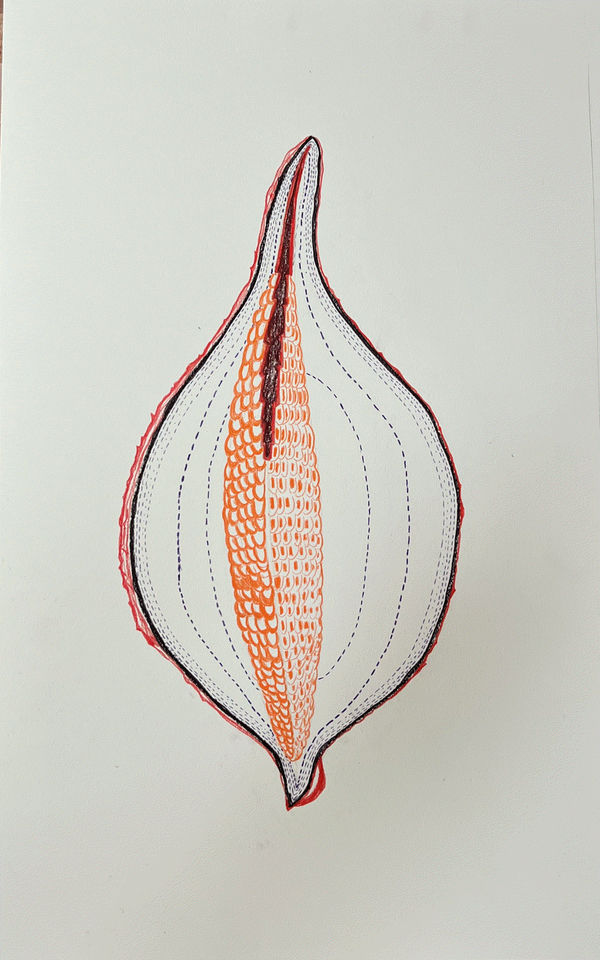 Jeanne Gang Topography 3, 2024 Chalk, charcoal, graphite on illustration board 31.5 x 20 inches