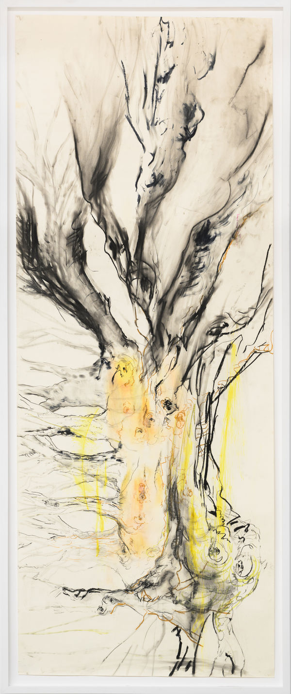 Jacqueline Surdell, Origin Study (Human Measurements) 1, 2017-2025