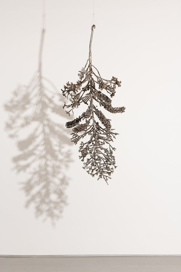 Carolyn Ottmers Splice #8 (CO10LLOYDM), 2010 Cast stainless steel 74 x 30 x 28 inches