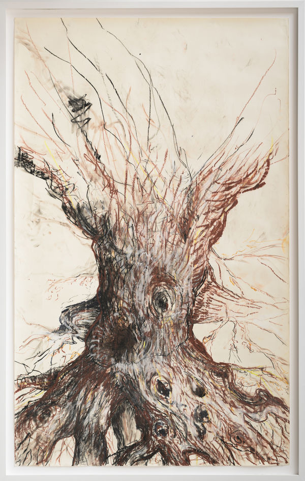 Jacqueline Surdell, Origin Study (Human Measurements) 2, 2017-2025