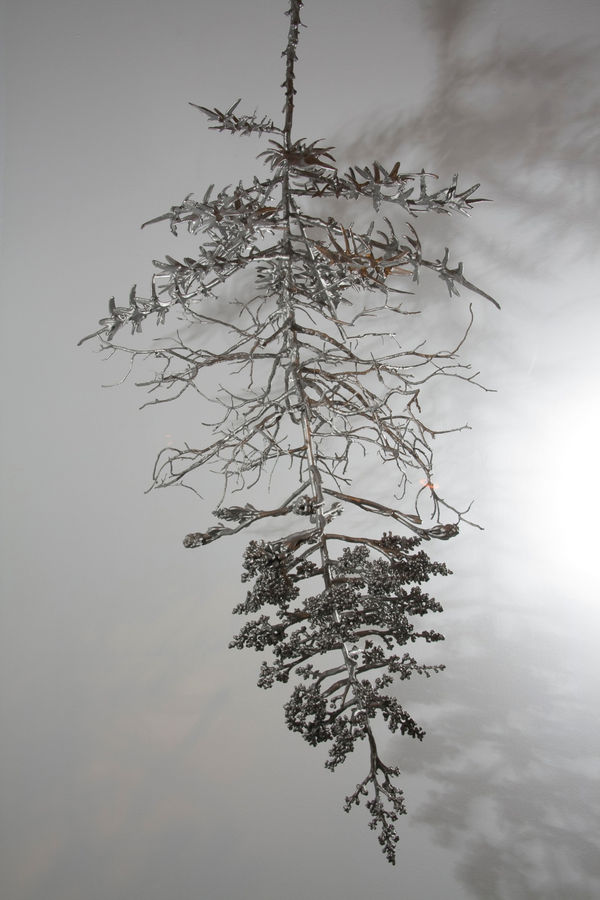 Carolyn Ottmers, Splice #5 (CO10XBLOM), 2010