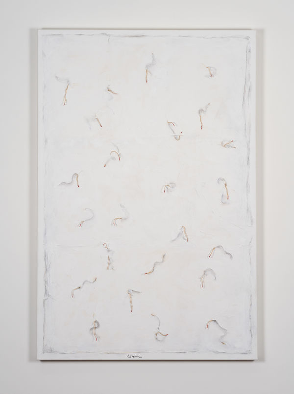 François Bonjour, Germogli su fondo bianco, 2022/2023