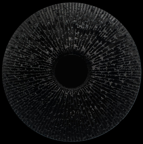 Vasily Klyukin, 1DGL, 2019-2021