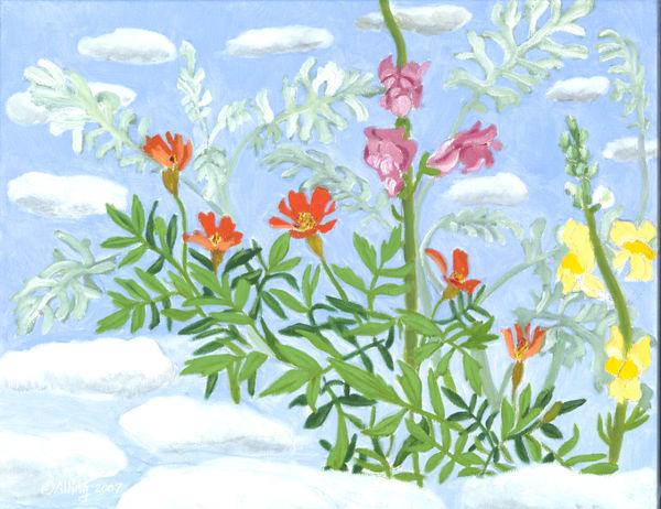 On the Clouds (Dusty Miller, snapdragons)