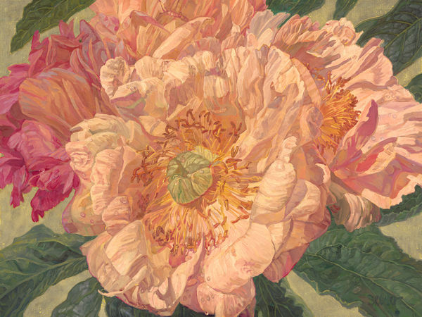 JOSEPH SEVIER, Peony I, 2020