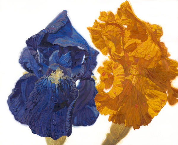 JOSEPH SEVIER, Rain Iris II , 2023