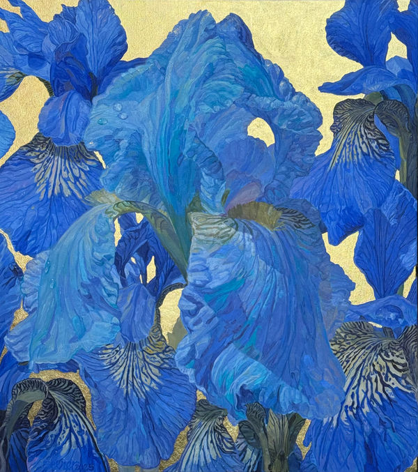 JOSEPH SEVIER, New Mexico Blue Iris