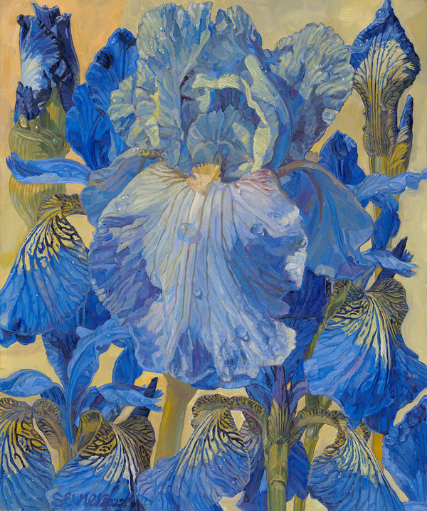 JOSEPH SEVIER, Butterfly Iris, 2022