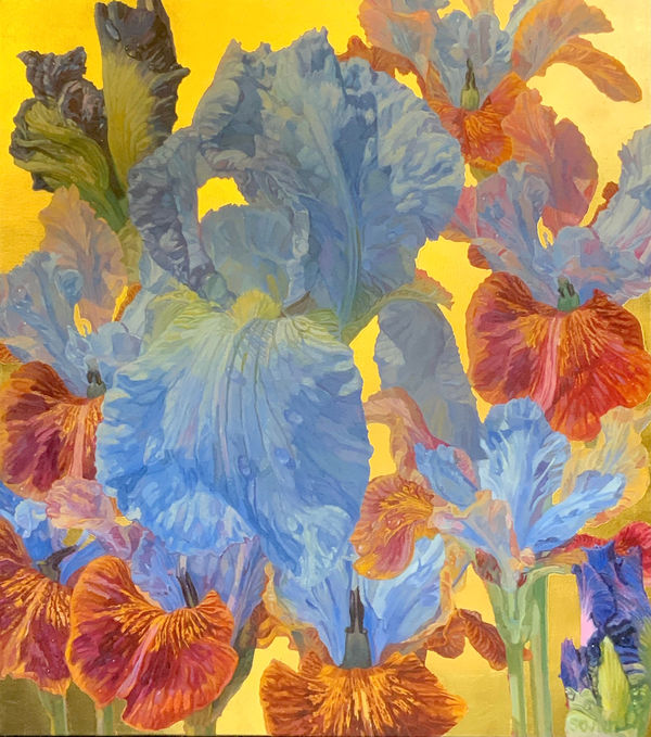 JOSEPH SEVIER, Butterfly Iris II, 2024