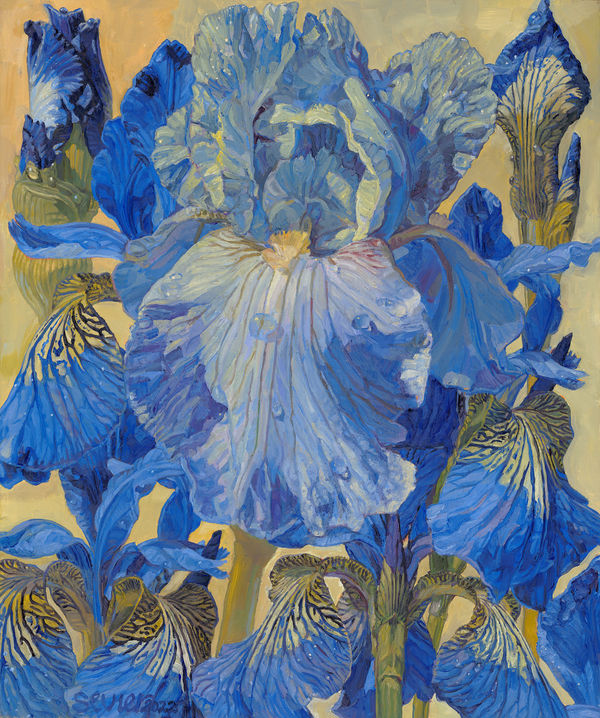 JOSEPH SEVIER, Butterfly Iris I, 2022