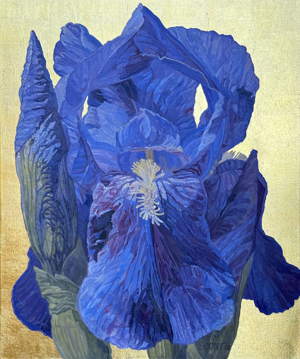 JOSEPH SEVIER, Deep Blue Iris, 2025